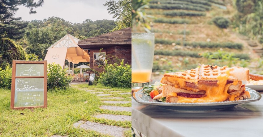 坪林一日遊：漫步坪林茶鄉，感受自然之美與茶文化