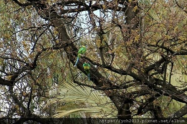 Sandalford酒莊午餐、餐後逛逛隔壁Mandoon E