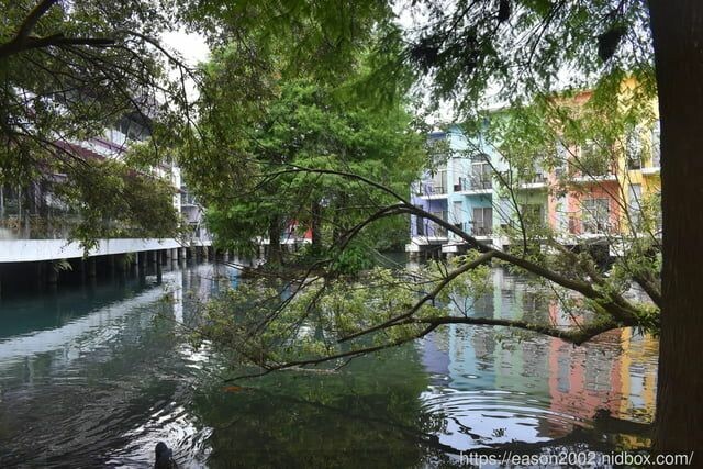 宜蘭景點 | 水岸森林物語-可愛動物園區 與小動物親密接觸 熊貓羊、梅花鹿、羊駝、狐獴、 孔雀、梵天雞、紅腹錦雞、柯爾鴨、紅鶴、毛驢、水豚、笑笑羊、亞達伯拉象龜、兔豚鼠、 黑腹山羊、紅面番鴨(薑母鴨)