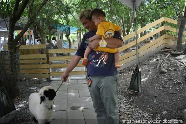 宜蘭景點 | 水岸森林物語-可愛動物園區 與小動物親密接觸 熊貓羊、梅花鹿、羊駝、狐獴、 孔雀、梵天雞、紅腹錦雞、柯爾鴨、紅鶴、毛驢、水豚、笑笑羊、亞達伯拉象龜、兔豚鼠、 黑腹山羊、紅面番鴨(薑母鴨)