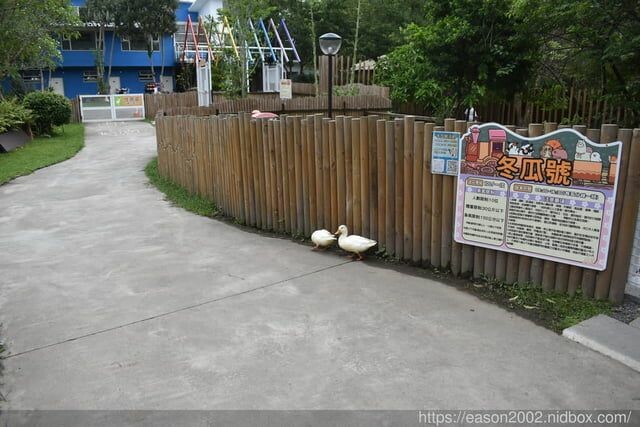 宜蘭景點 | 水岸森林物語-可愛動物園區 與小動物親密接觸 熊貓羊、梅花鹿、羊駝、狐獴、 孔雀、梵天雞、紅腹錦雞、柯爾鴨、紅鶴、毛驢、水豚、笑笑羊、亞達伯拉象龜、兔豚鼠、 黑腹山羊、紅面番鴨(薑母鴨)