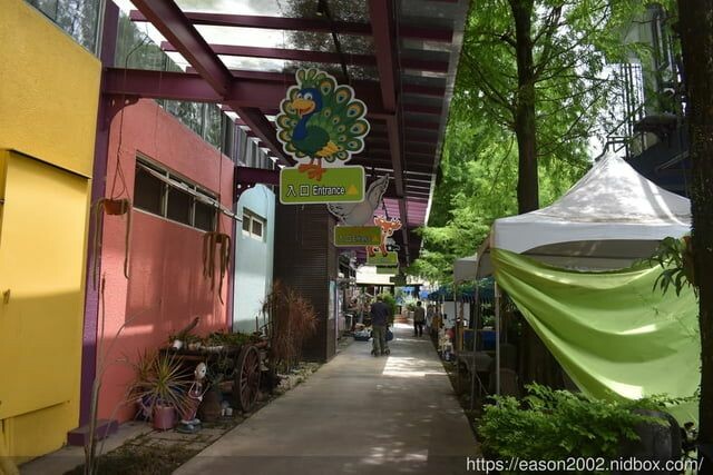 宜蘭景點 | 水岸森林物語-可愛動物園區 與小動物親密接觸 熊貓羊、梅花鹿、羊駝、狐獴、 孔雀、梵天雞、紅腹錦雞、柯爾鴨、紅鶴、毛驢、水豚、笑笑羊、亞達伯拉象龜、兔豚鼠、 黑腹山羊、紅面番鴨(薑母鴨)