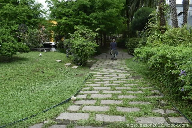 宜蘭景點 | 水岸森林物語-可愛動物園區 與小動物親密接觸 熊貓羊、梅花鹿、羊駝、狐獴、 孔雀、梵天雞、紅腹錦雞、柯爾鴨、紅鶴、毛驢、水豚、笑笑羊、亞達伯拉象龜、兔豚鼠、 黑腹山羊、紅面番鴨(薑母鴨)