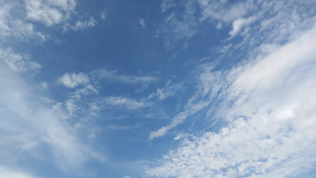 新豐紅樹林步道 - 空景
