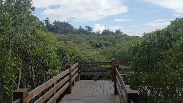 新豐紅樹林步道