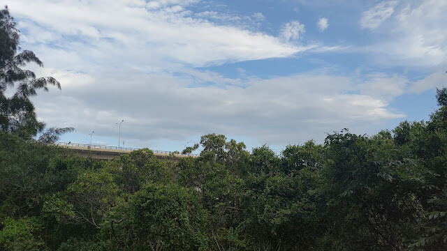 新豐紅樹林步道 - 遊客中心附近