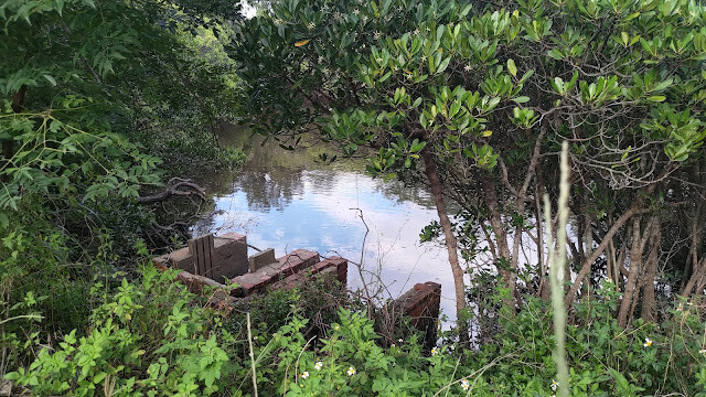 新豐紅樹林步道 - 遊客中心附近