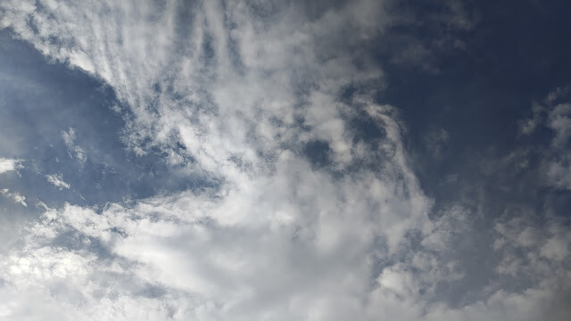 新豐紅樹林步道 - 空景