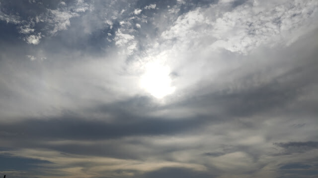 新豐紅樹林步道 - 空景