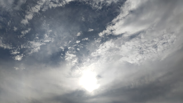 新豐紅樹林步道 - 空景