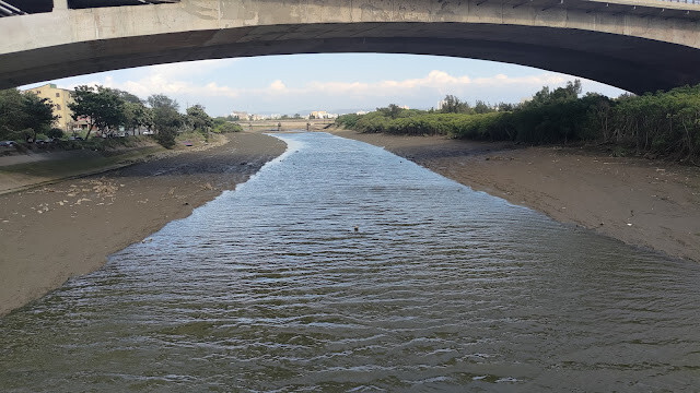 新豐紅樹林步道 - 濕地