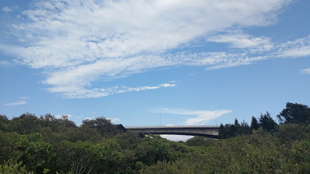 新豐紅樹林步道