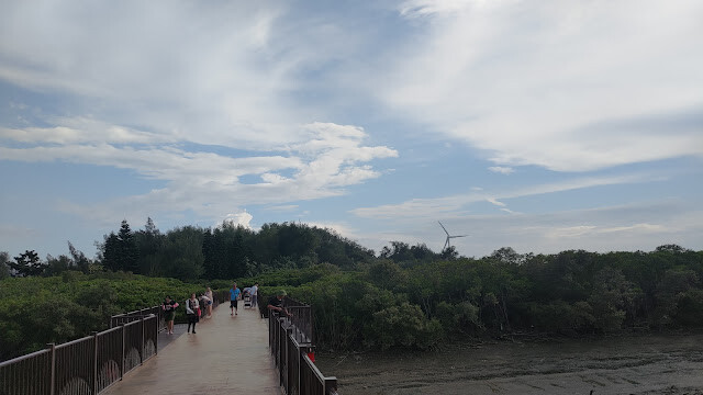 新豐紅樹林步道