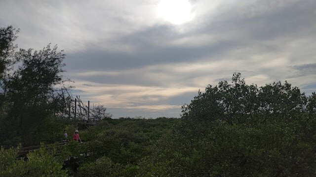 新豐紅樹林步道