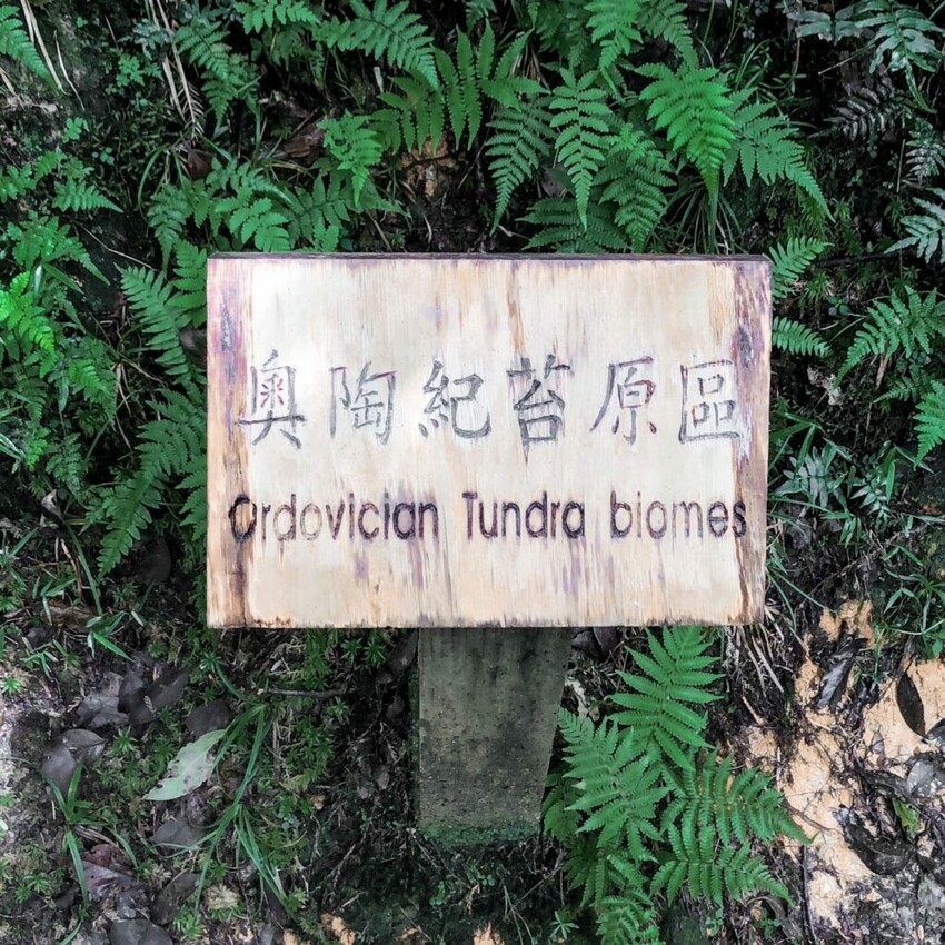 太平山 翠峰湖環山步道 世紀苔原區