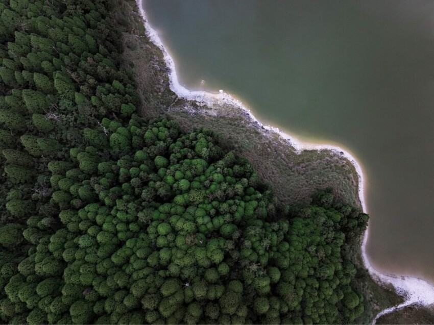 空拍 太平山 翠峰湖畔與樹林