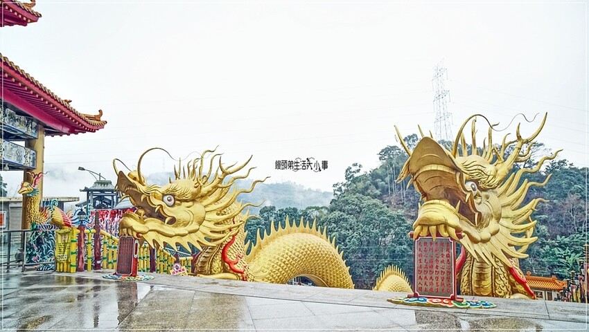 南投縣中寮鄉南投中寮鄉金龍山法華寺：探訪亞洲最大雙金龍，必訪網美打卡景點