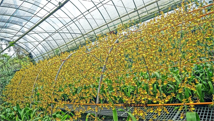 /tmp/phpLt5LBv /tmp/phpLt5LBv