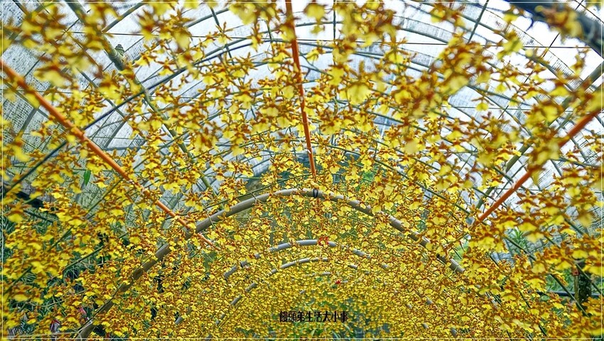 /tmp/phpKHf4qq /tmp/phpKHf4qq