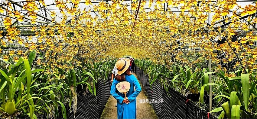 /tmp/phpjuhmgx /tmp/phpjuhmgx