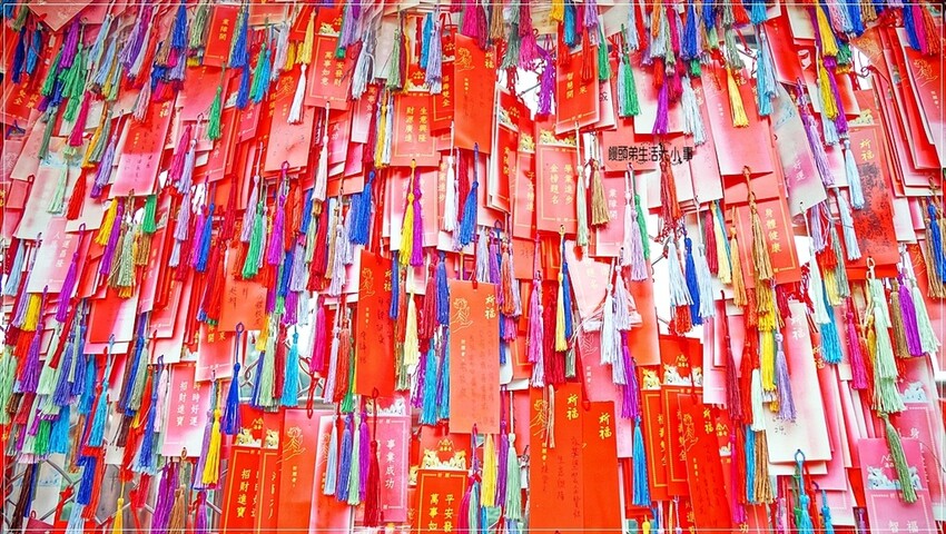 南投縣中寮鄉南投中寮鄉金龍山法華寺：探訪亞洲最大雙金龍，必訪網美打卡景點