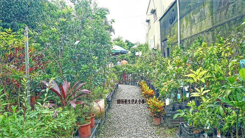 /tmp/phpP5fR7l /tmp/phpP5fR7l