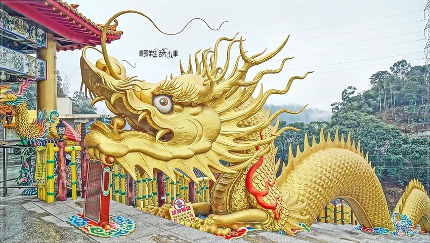 南投縣中寮鄉南投中寮鄉金龍山法華寺：探訪亞洲最大雙金龍，必訪網美打卡景點