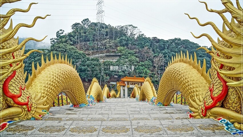 南投縣中寮鄉南投中寮鄉金龍山法華寺：探訪亞洲最大雙金龍，必訪網美打卡景點