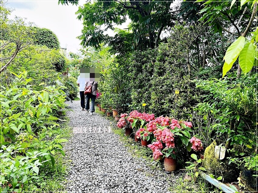 /tmp/php06c9QI /tmp/php06c9QI