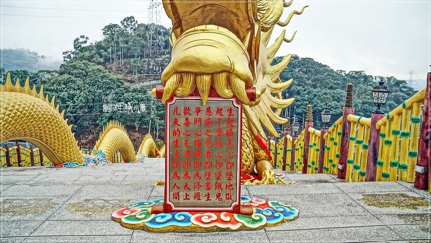 南投縣中寮鄉南投中寮鄉金龍山法華寺：探訪亞洲最大雙金龍，必訪網美打卡景點