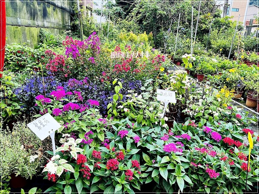 /tmp/phpJJW25Y /tmp/phpJJW25Y