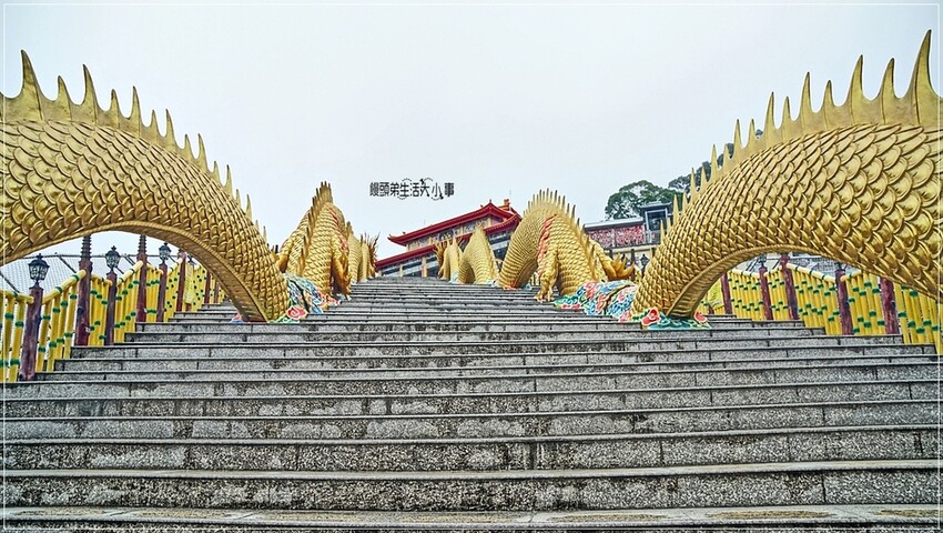 南投縣中寮鄉南投中寮鄉金龍山法華寺：探訪亞洲最大雙金龍，必訪網美打卡景點