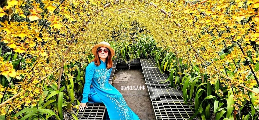 /tmp/php8KnDM9 /tmp/php8KnDM9