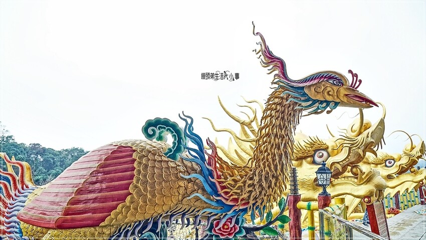 南投縣中寮鄉南投中寮鄉金龍山法華寺：探訪亞洲最大雙金龍，必訪網美打卡景點