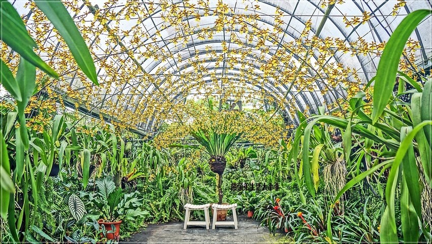 /tmp/phpp7vkPI /tmp/phpp7vkPI