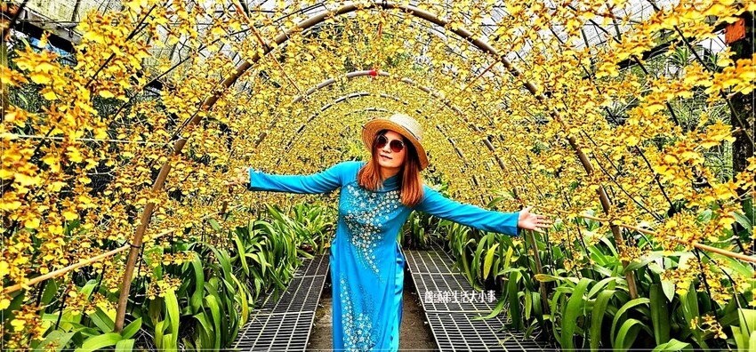 /tmp/phpHDO9Sk /tmp/phpHDO9Sk