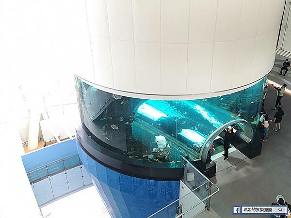 韓國釜山景點【太宗臺＋釜山國立海洋博物館】美麗海岸自然公園/親子旅遊景點