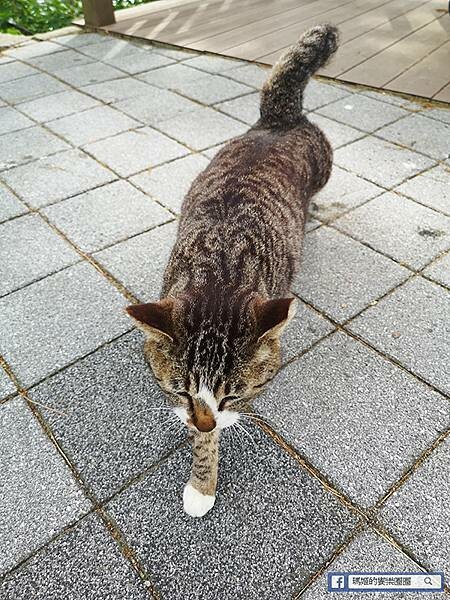 韓國釜山景點【太宗臺＋釜山國立海洋博物館】美麗海岸自然公園/親子旅遊景點