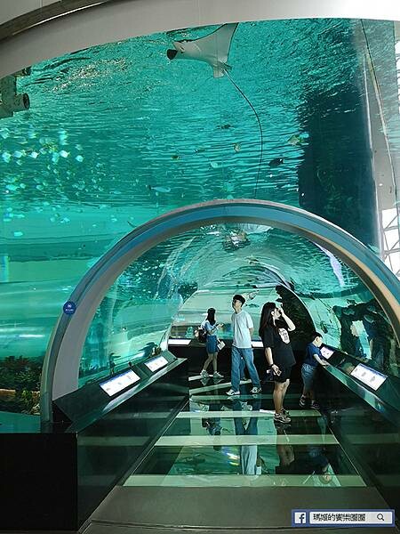 韓國釜山景點【太宗臺＋釜山國立海洋博物館】美麗海岸自然公園/親子旅遊景點