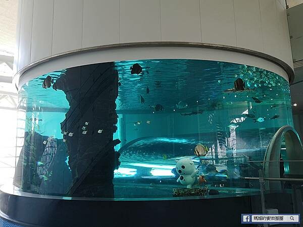 韓國釜山景點【太宗臺＋釜山國立海洋博物館】美麗海岸自然公園/親子旅遊景點