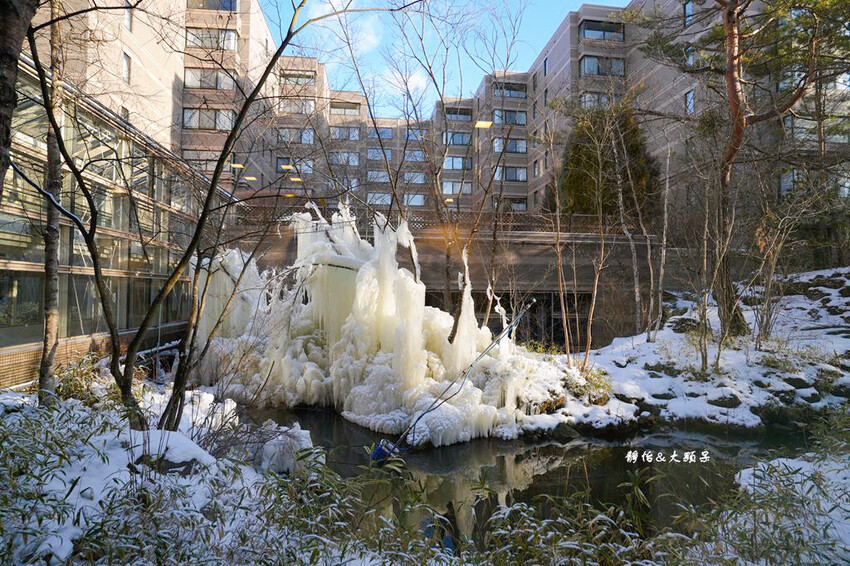 輕井澤1130飯店,溫馨四人房寬敞舒適、自助餐螃蟹吃到飽,輕