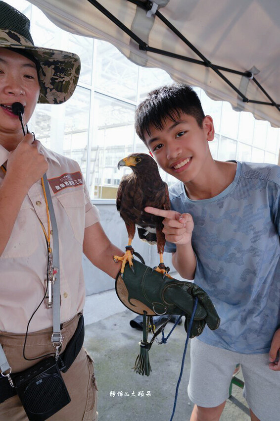 蘭陽動植物王國 ❙ 澳洲袋鼠近距離互動、兔豚鼠、水豚森林浴，