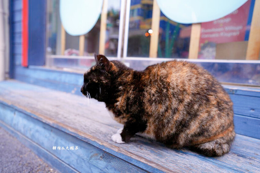 釜山甘川洞文化村 ❙ 小王子彩繪壁畫村、小王子和沙漠狐狸，釜