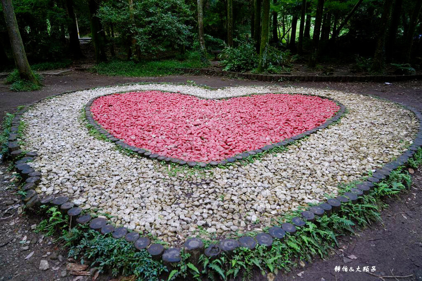 竹子湖黑森林 ❙ 森林系美拍、北部熱門婚攝景點,陽明山打卡秘 竹子湖黑森林 ❙ 森林系美拍、北部熱門婚攝景點,陽明山打卡秘