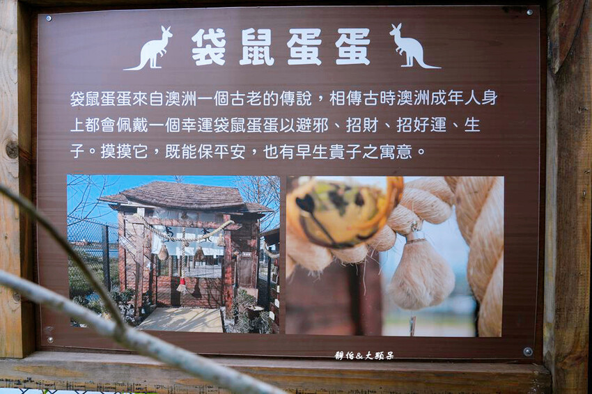 蘭陽動植物王國 ❙ 澳洲袋鼠近距離互動、兔豚鼠、水豚森林浴，