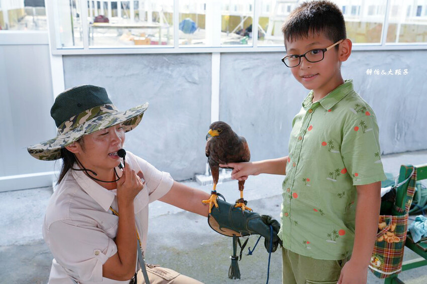 蘭陽動植物王國 ❙ 澳洲袋鼠近距離互動、兔豚鼠、水豚森林浴，
