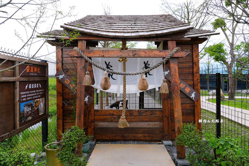 蘭陽動植物王國 ❙ 澳洲袋鼠近距離互動、兔豚鼠、水豚森林浴，