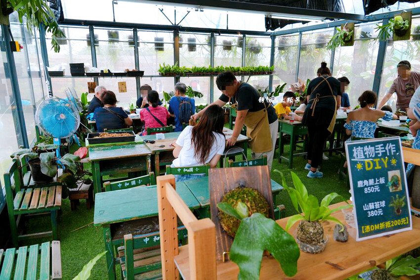 蘭陽動植物王國 ❙ 澳洲袋鼠近距離互動、兔豚鼠、水豚森林浴，