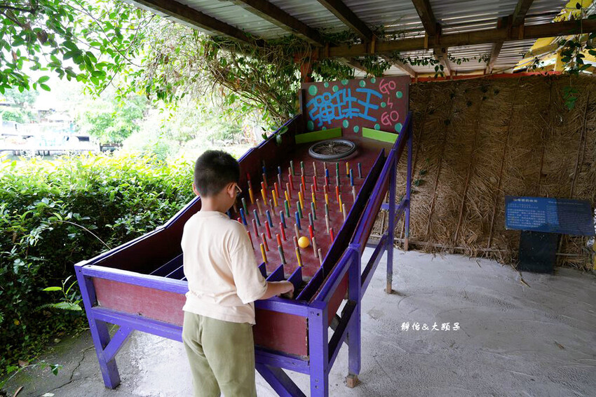 宜蘭親子農場,廣興農場,動物餵食、焢窯、 摸蜆、DIY體驗、