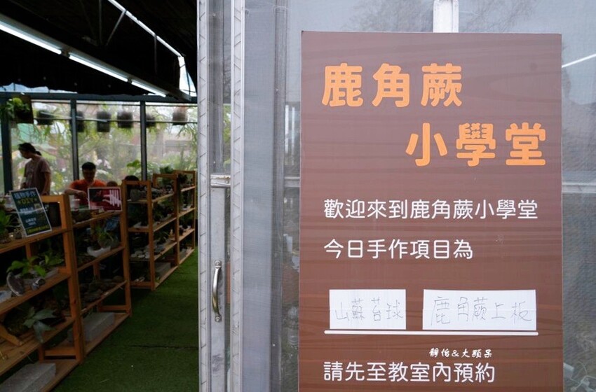 蘭陽動植物王國 ❙ 澳洲袋鼠近距離互動、兔豚鼠、水豚森林浴，